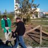 PULIZIE E RIPARAZIONI AL PARCO